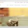 Freelance Web Designer Perth