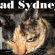 Freelance writing Jobs Sydney